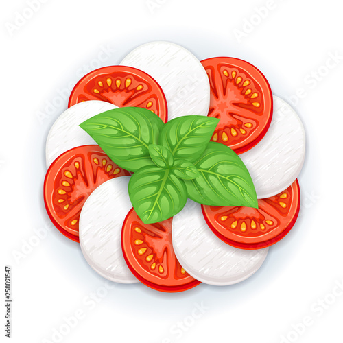 Caprese salad vector - mozzarella, tomato and basil leaves.