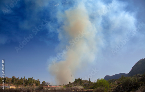 Gran Canaria, fire