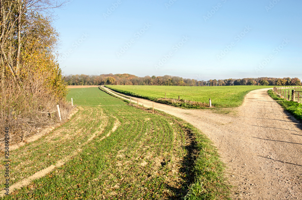 Fork in a dirt road in a hilly landscape with green meadows and woodland near Valkenburg, The Netherlands