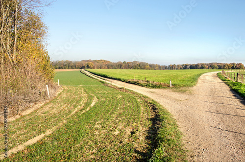 Fork in a dirt road in a hilly landscape with green meadows and woodland near Valkenburg  The Netherlands