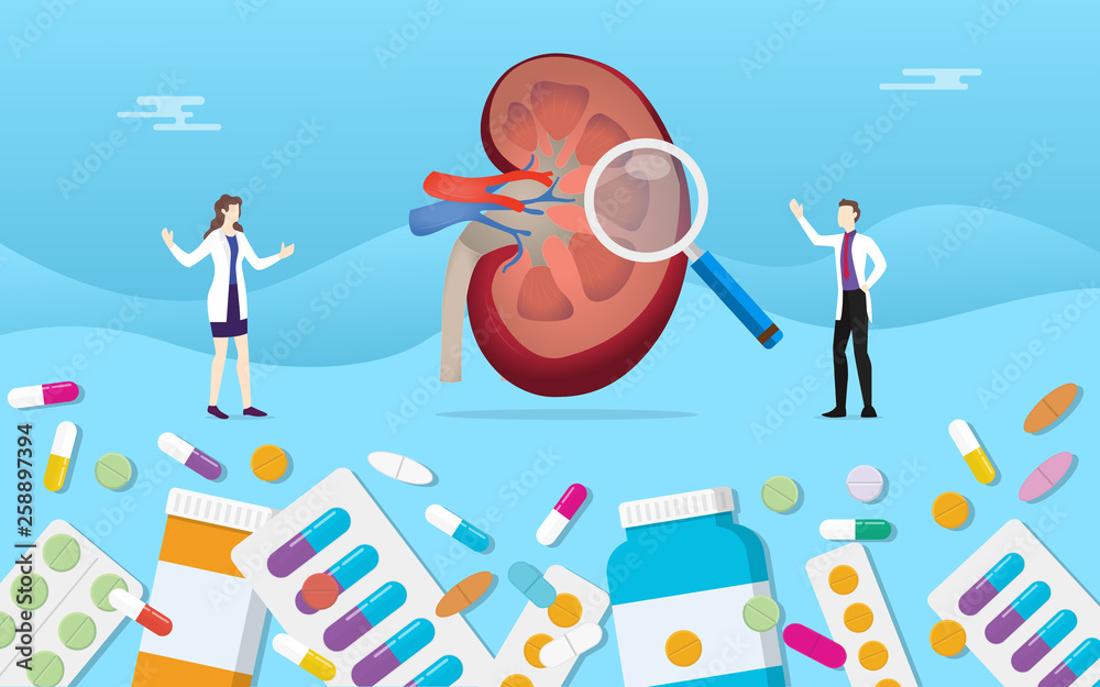 human open kidney medicine health pills drug capsule treatment with doctor analysis - vector