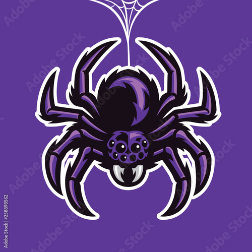 mascot spider hanging on the spider web