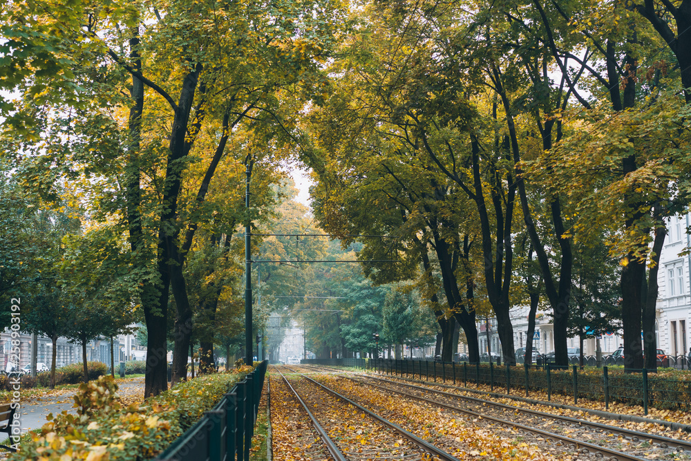 Empty railroad surrounded by green trees on the street