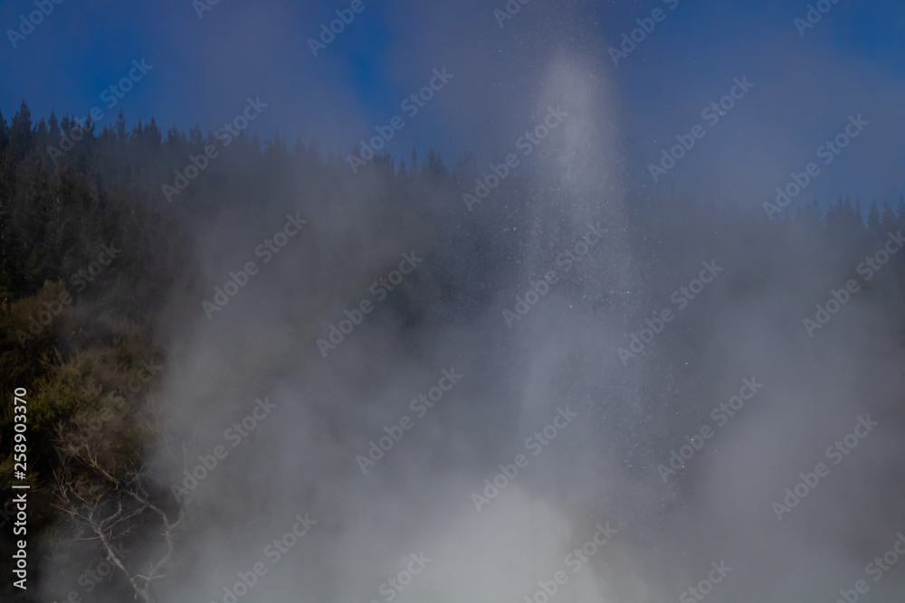 Obraz premium Lady Knox Geyser, Wai-O-Tapu Thermal Wonderland, Rotarua, New Zealand