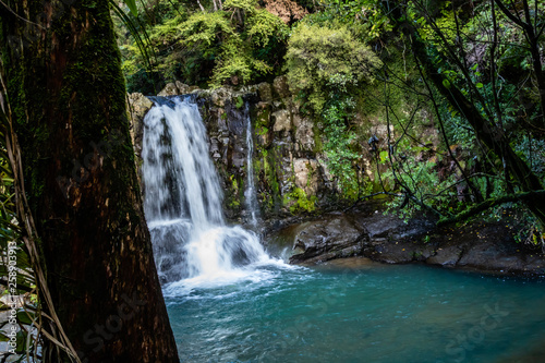 Waiau falls is a refreshing place to take a dip, Waiau Kauri Grove, Coromandel, New Zealand © David