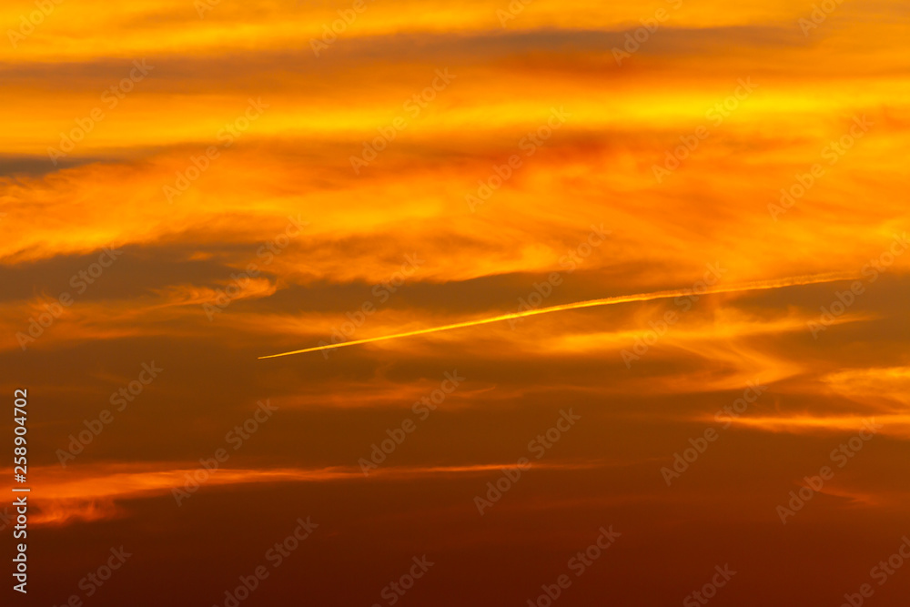 Fototapeta premium 夕焼け空アップ