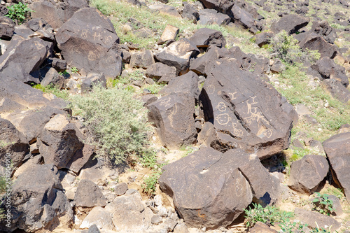 Petroglyph National Monument in New Mexico, USA
