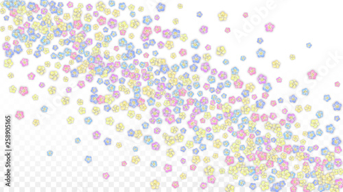 Colorful Vector Realistic Petals Falling on Transparent Background.  Spring Romantic Flowers Illustration. Flying Petals. Sakura Spa Design. Blossom Confetti. Design Elements for Wedding Decoration.