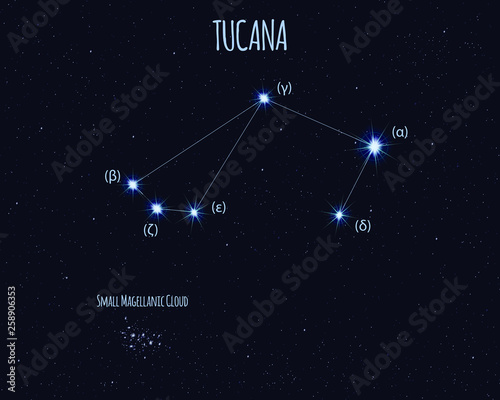 Tucana (The Toucan) constellation, vector illustration with the names of basic stars against the starry sky 