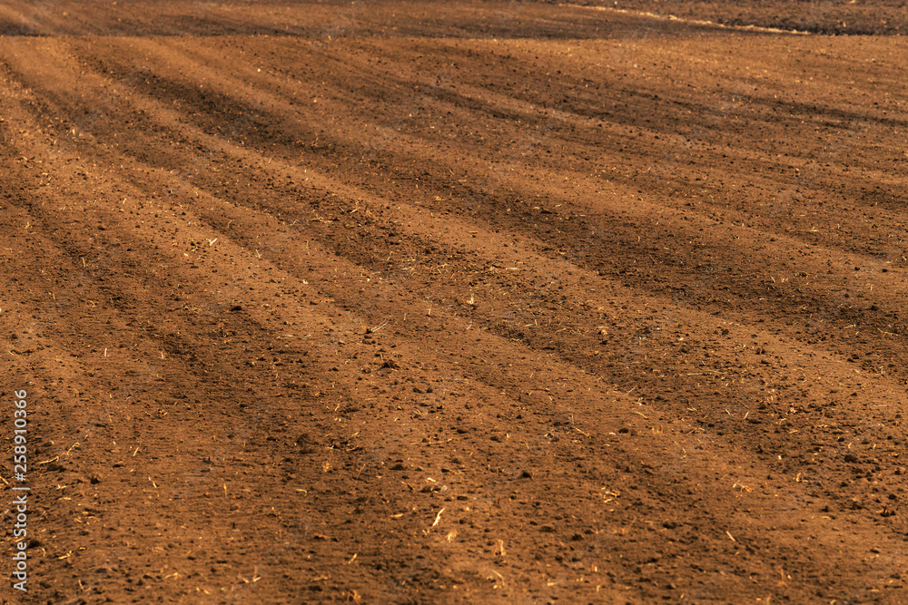 Plowed land ready for sowing season of agricultural crops Plowed land ready for sowing season of agricultural crops