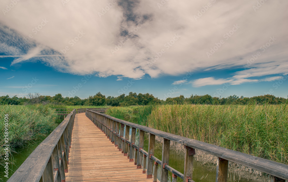 Pasarela de madera en la naturaleza. Paque Nacional de las Tablas de Daimiel. Ciudad Real. España.