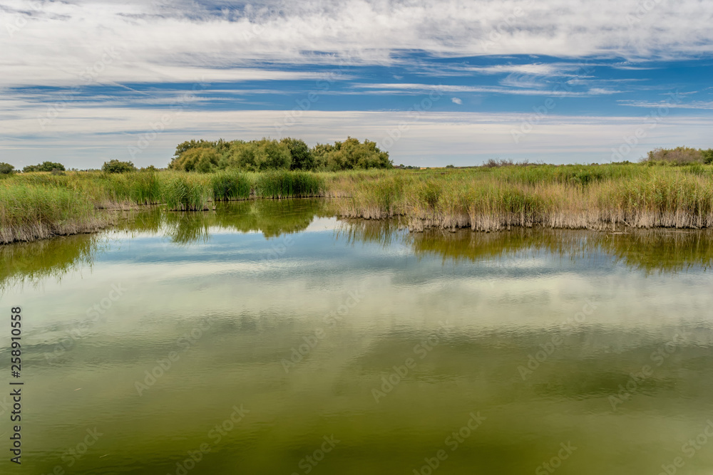 Laguna en el Parque Nacional Tablas de Daimiel. Ciudad Real. España.