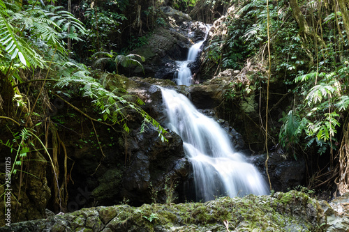 Onomea waterfall cascading through Hawaiian Tropical Botanical Garden in Hilo. Water cascading down the rocks to a pool below; surrounded by tropical rainforest. 