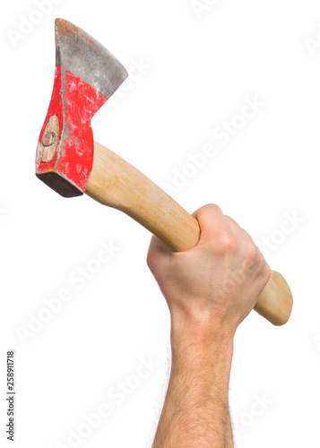 Принти на полотні Axe with wooden handle
