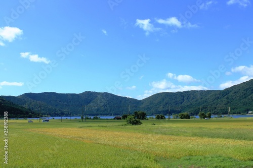 滋賀県の余呉湖と山を望む田園風景です