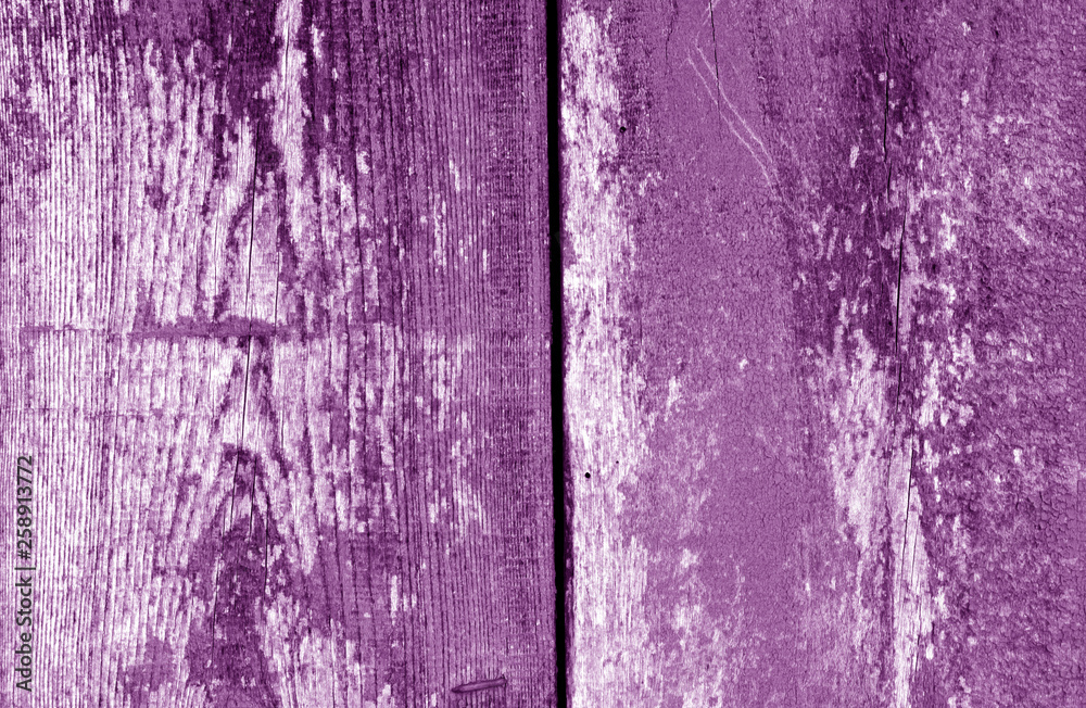 Fototapeta premium Old grungy wooden planks background in purple tone.