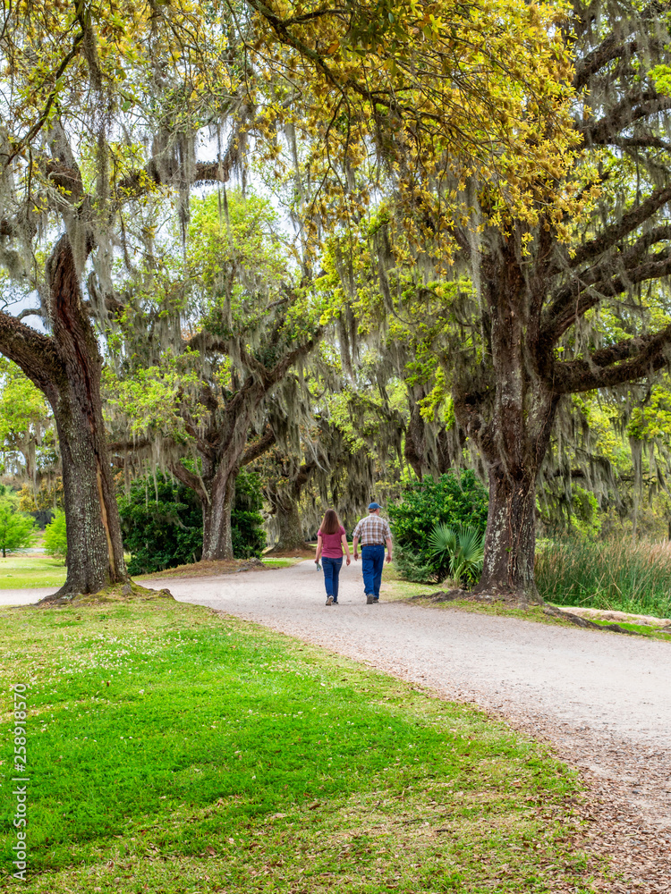 Fototapeta premium Father and daughter are enjoying the scenes of southern plantation