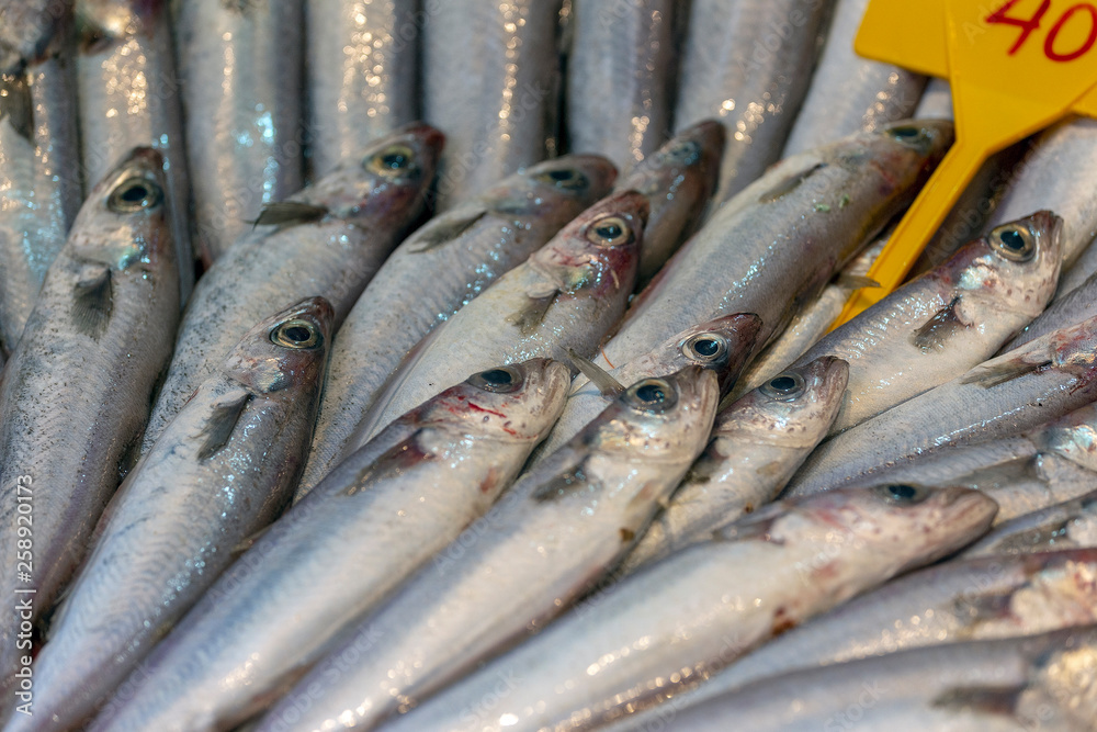 Fish anchovy background on ice in fishermen market store shop. Seafood european pile of anchovy pattern on ice. Black sea anchovies are placed in family Engraulidae. Heap of small little fish for sale Fish anchovy background on ice in fishermen market store shop. Seafood european pile of anchovy pattern on ice. Black sea anchovies are placed in family Engraulidae. Heap of small little fish for sale