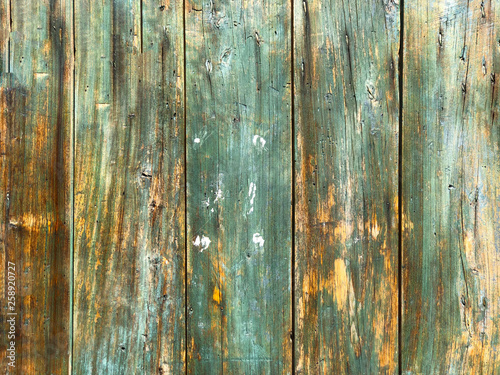 Old painted wood texture background. Green, yellow, grey wooden background close-up