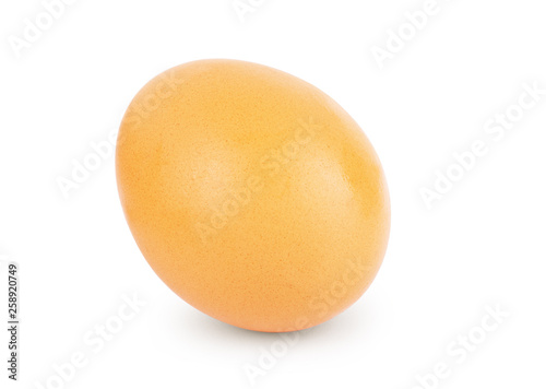 Brown egg on a white background