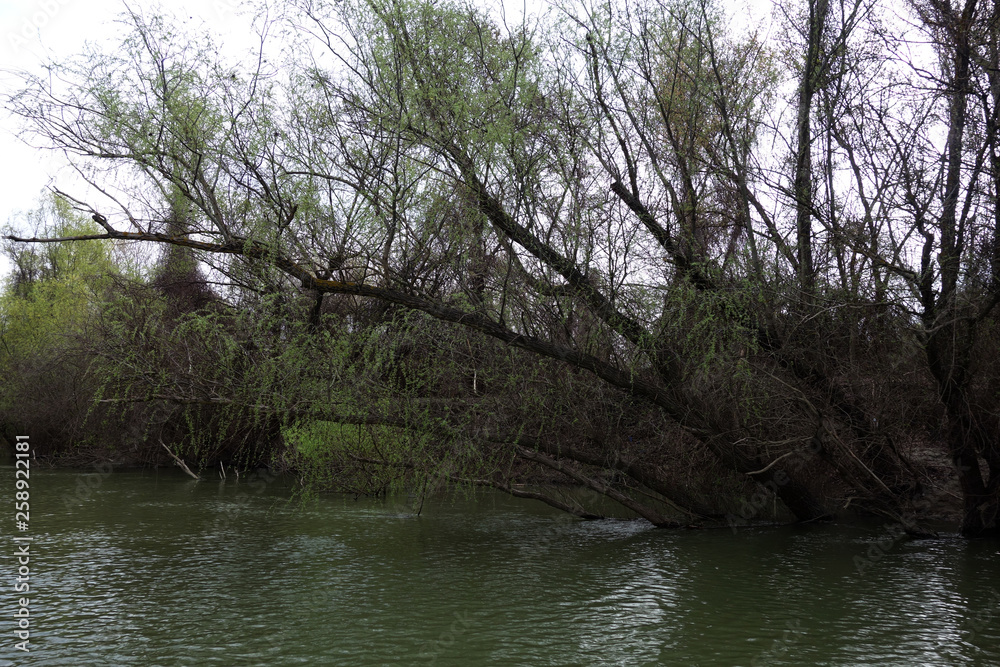 The serene spring day on Borcea's arm,