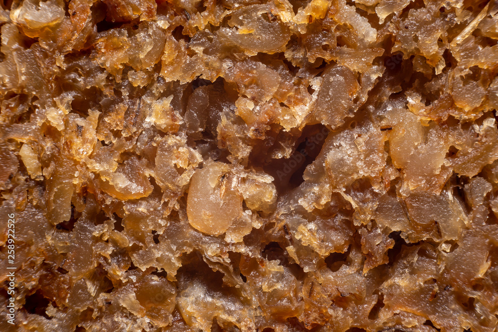 Healthy bread slice extreme macro background Healthy bread slice extreme macro background