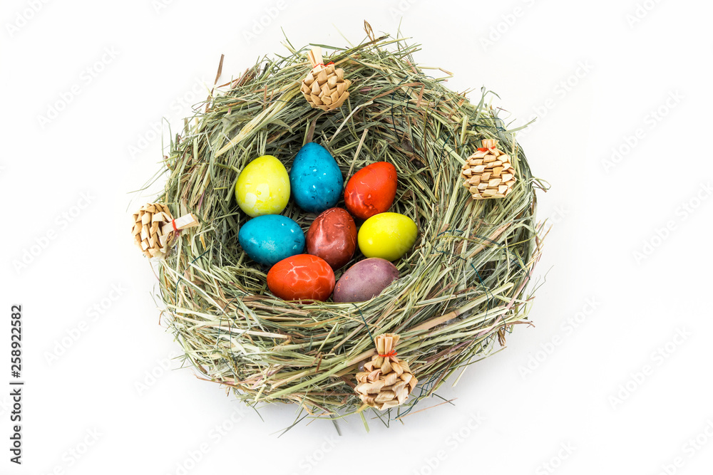 colored easter quail eggs in grass nest with bumps