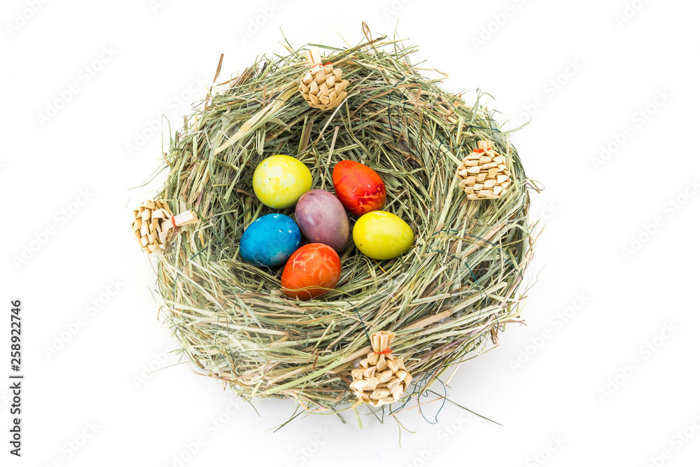 colored easter quail eggs in grass nest with bumps colored easter quail eggs in grass nest with bumps