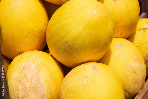 Yellow melons for sale