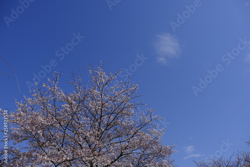 空