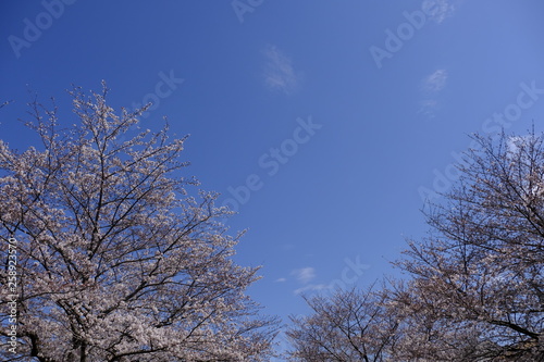 空