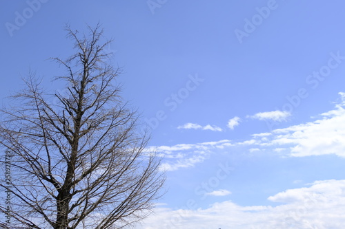 空