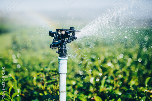 irrigation sprinkler