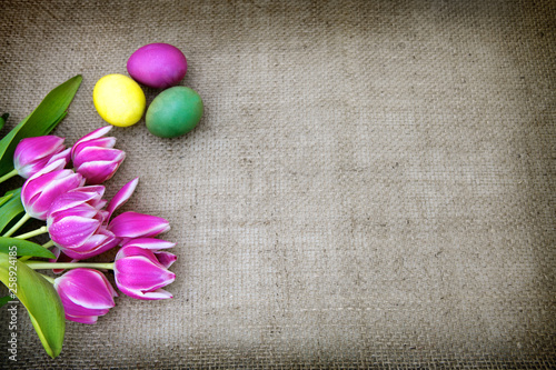 Tulips and easter Eggs on brown cloth Background.
