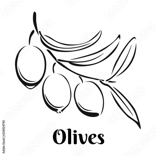 Olives icon isolated on white background. Vector food monochrome illustration in simple style. Black and white image.