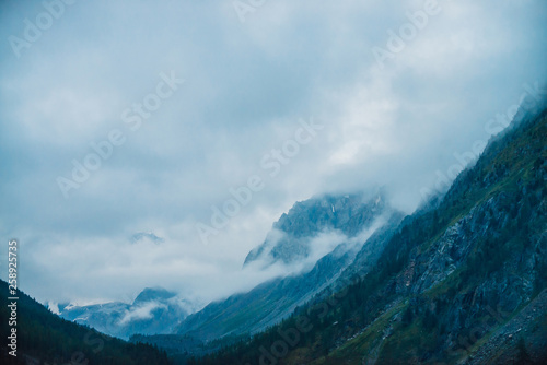 Fototapeta Naklejka Na Ścianę i Meble -  Ghostly giant rocks with trees in thick fog. Mysterious huge mountain in mist. Early morning in mountains. Impenetrable fog. Dark atmospheric cloudy landscape. Tranquil mystic atmosphere. Dark forest.