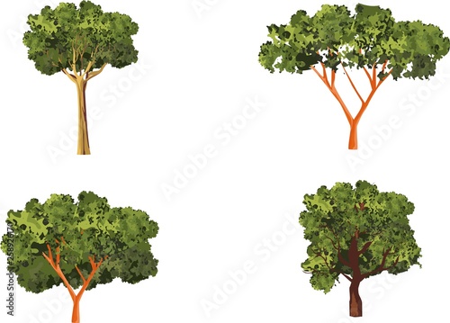 Set of trees isolated on white