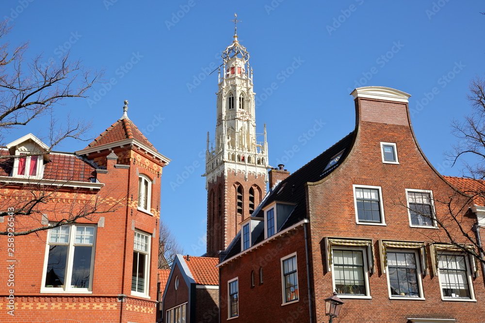 Obraz premium The white tower of Bakenesserkerk church (built in 1520) with traditional houses in the foreground, Haarlem, Netherlands