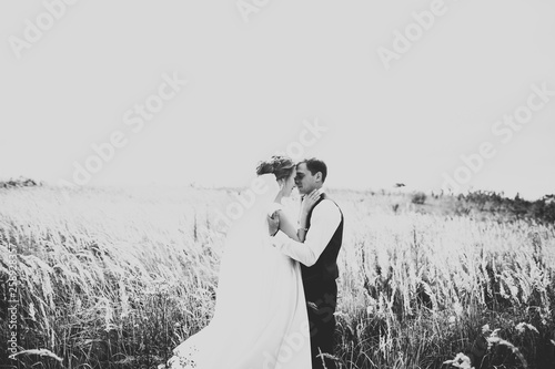 Beautiful wedding couple, love on the sunset. Fielf with flowers photo