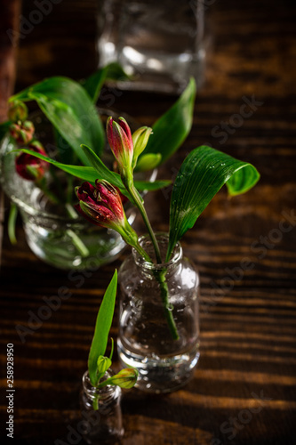 Red alstroemeria flowers in glass vases on dark background. Mothers day, birthday greeting card. Copy space.