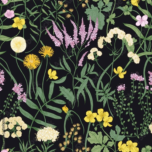 Botanical seamless pattern with flowering perennial plants. Natural backdrop ...