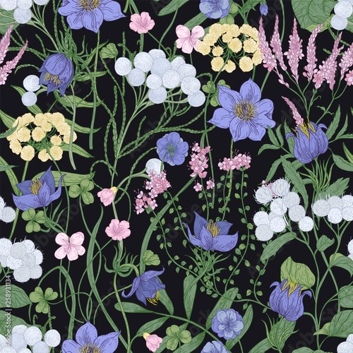 Elegant seamless pattern with blooming wild flowers on black background. Backdrop with flowering herbaceous perennial plants and meadow wildflowers. Botanical vector illustration in antique style.