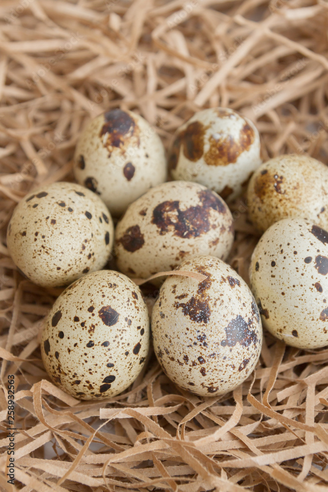 Quail spotted eggs lie on paper strips in the form of hay Quail spotted eggs lie on paper strips in the form of hay