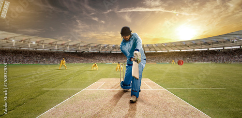 Young sportsman batting in the cricket field 	 photo