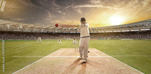 Young sportsman hitting the ball while batting in the cricket field	 photo
