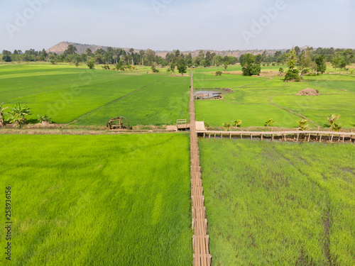 Drone shot aerial view scenic landscape of Vintage wooden bridge in the rice field at the countryside