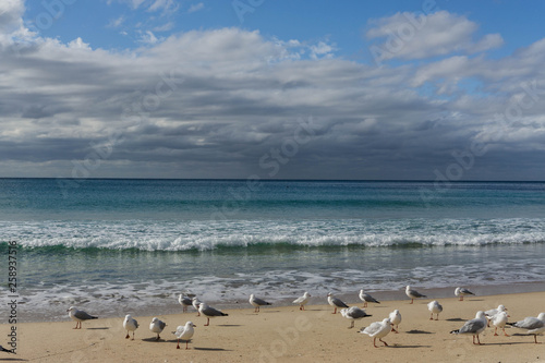 waves in the ocean and blue sky