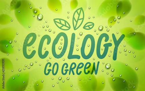 Ecology word drawn on a window, fresh green leaves and water rain drops or condensate macro, vector 3d realistic transparent illustration, ecological nature beautiful art.