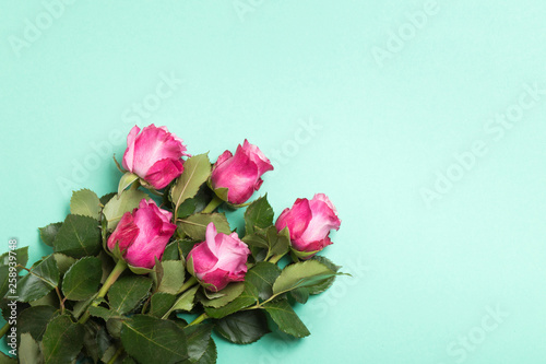 Pink roses on light green background. Top view