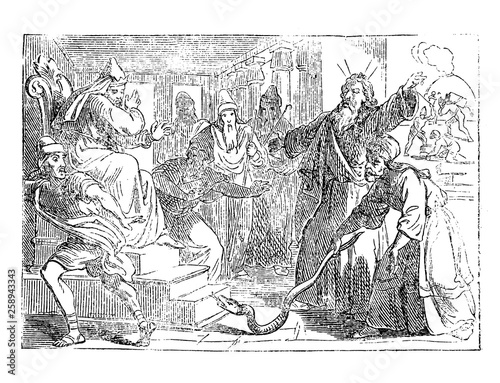 Vintage antique illustration and line drawing or engraving of biblical story of Moses and Aaron changing the staff in snake during arguing with Pharaoh of Egypt.